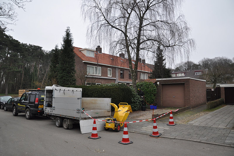 PKS Boomverzorging